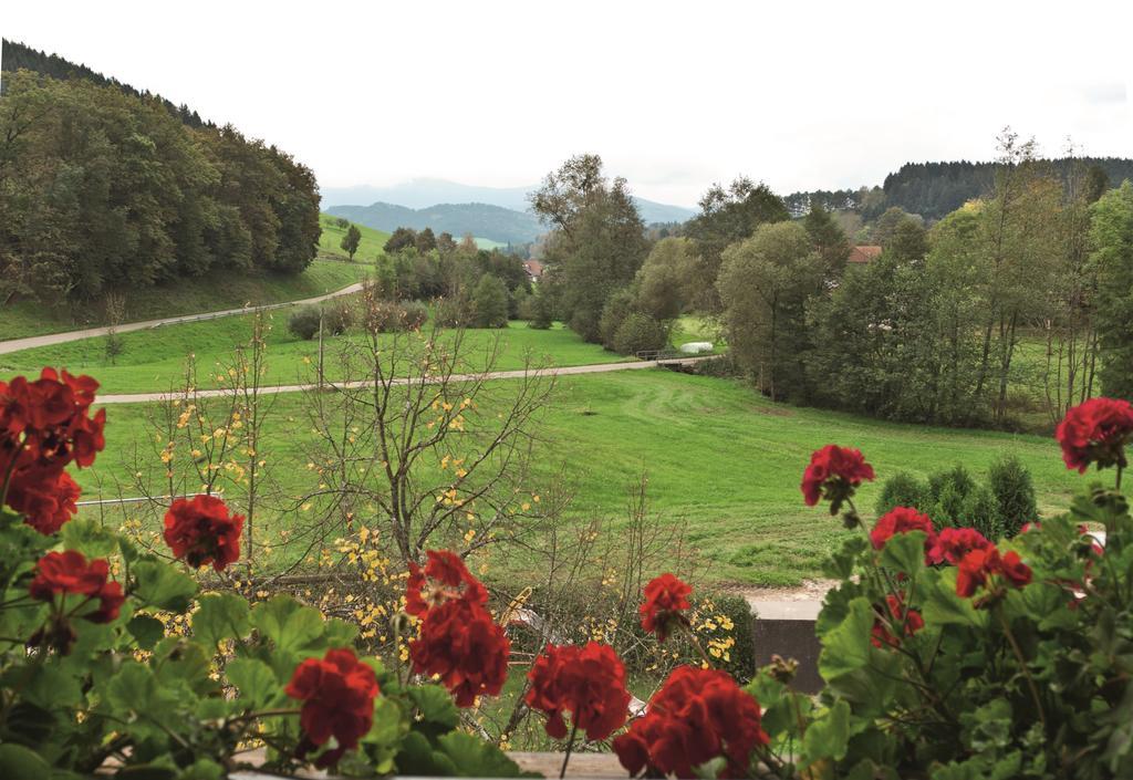Landgasthof Adler Pelzmuehle Biederbach Baden-Württemberg Oda fotoğraf